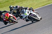 Advanced Group Multicolour Bikes